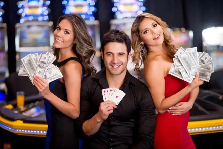 koreatoto login live casino Dragon Tiger table on mobile screen